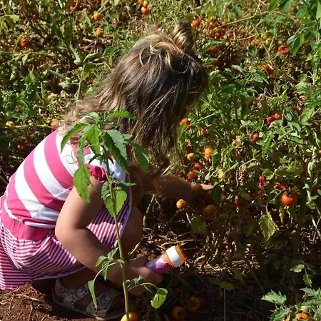 Masseria Dei Monelli Bed & Breakfast