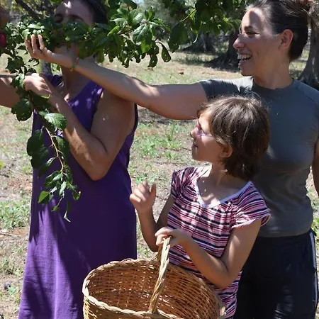 Masseria Dei Monelli