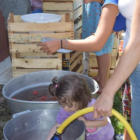 Masseria Dei Monelli Bed & Breakfast *