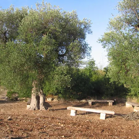 住宿加早餐酒店 Masseria Dei Monelli *