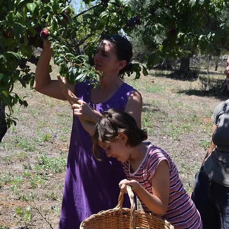 Couette-café Masseria Dei Monelli *