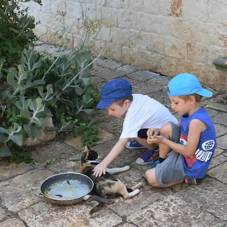 住宿加早餐酒店 Masseria Dei Monelli