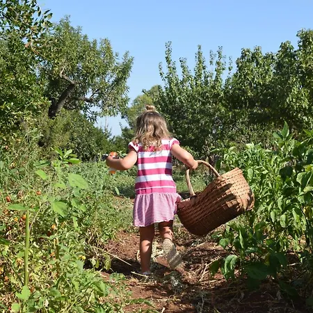 Masseria Dei Monelli 孔韦尔萨诺