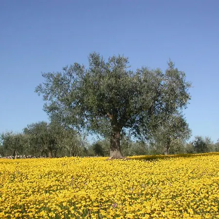 Masseria Dei Monelli *