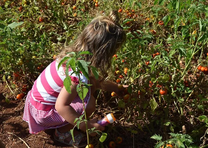 Masseria Dei Monelli Bed & Breakfast