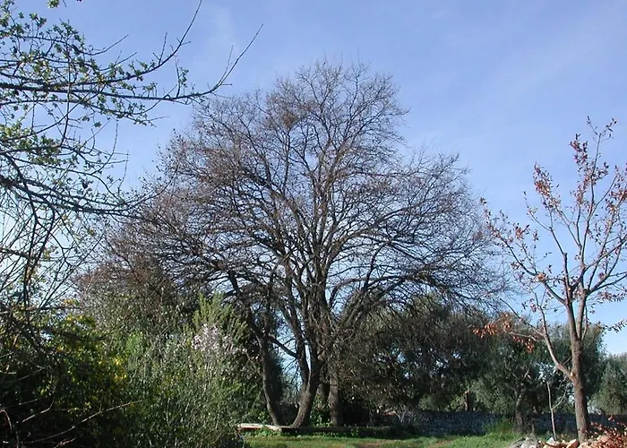 Masseria Dei Monelli Conversano