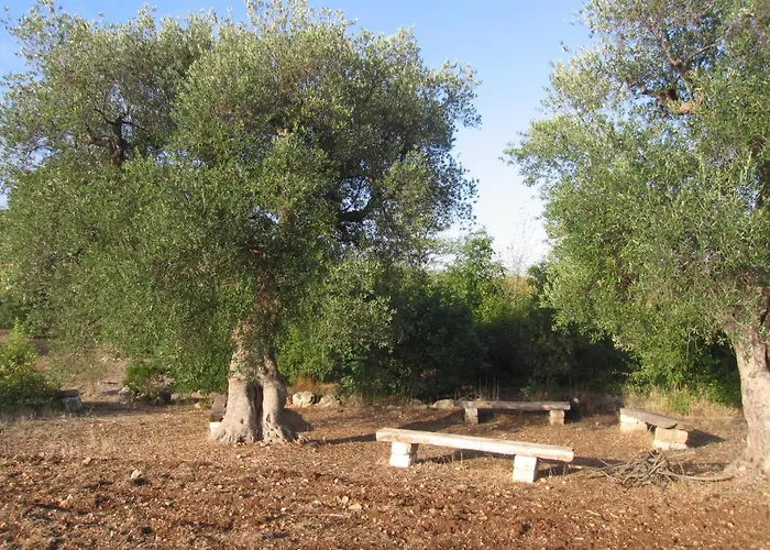 Nocleg ze śniadaniem Masseria Dei Monelli *