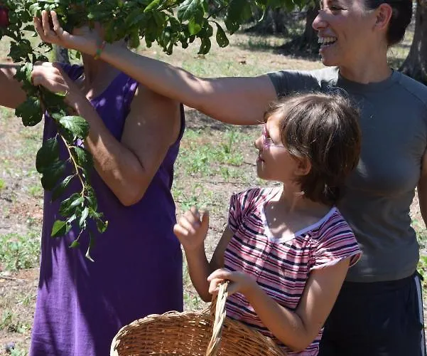 Masseria Dei Monelli