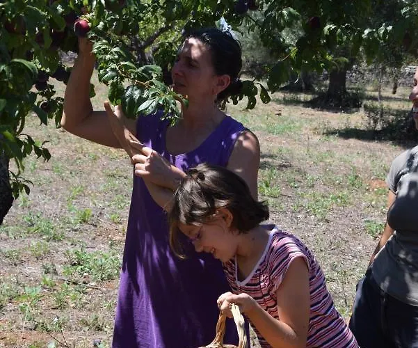 Nocleg ze śniadaniem Masseria Dei Monelli *