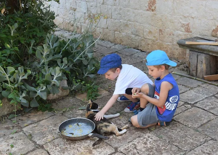 Bed & Breakfast Masseria Dei Monelli