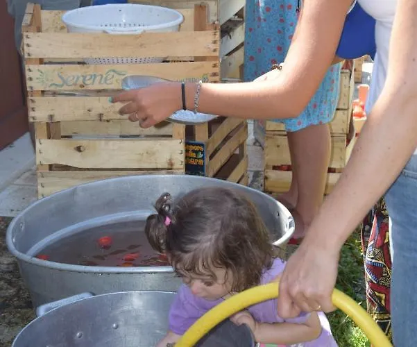 Masseria Dei Monelli Bed & Breakfast *