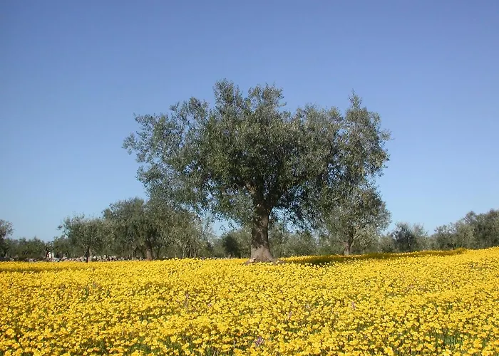 Masseria Dei Monelli *